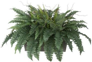 House of Silk Flowers Faux Fern in Washed Wood Ledge Planter