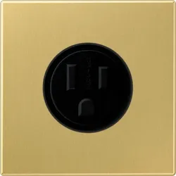 Jung Steckdose US-Norm NEMA ME 2521-15 C ME2521-15C