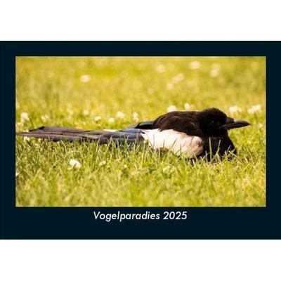 Vogelparadies 2025 Fotokalender DIN A5