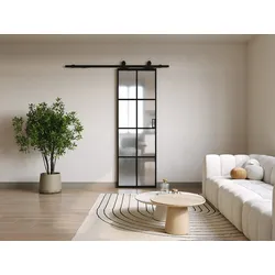 Schiebetür mit Laufschienensystem - Aluminium & Sicherheitsglas mattiert - 205 x 93 cm - WILDEN II