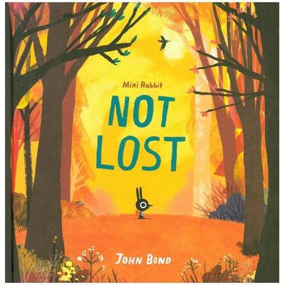 Bond, J: Mini Rabbit Not Lost, Gebundene Ausgabe von John Bond, HarperCollins