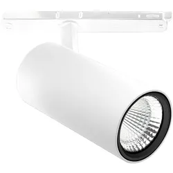 Performance in Light LED-Stromschienenstrahler 3117273