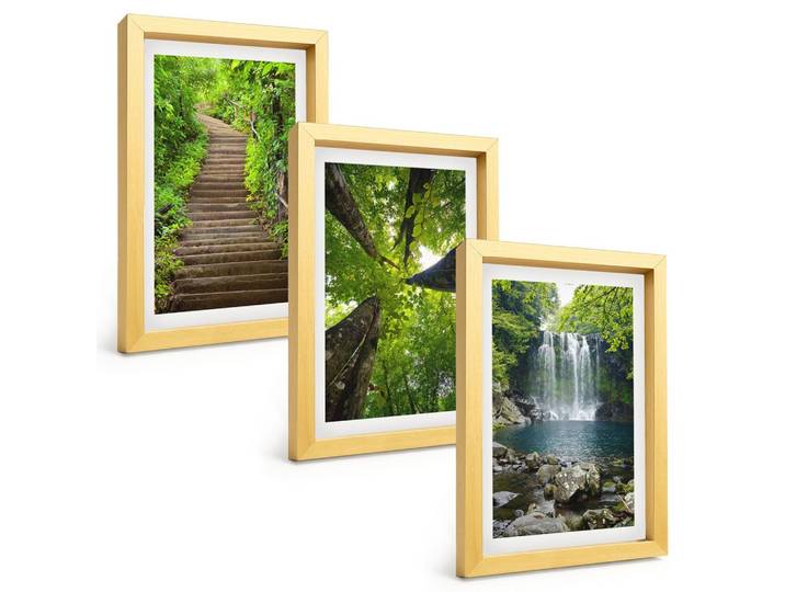 BILDER SET 3er Set - 20x30 cm Goldrahmen - Pfad Wald Wasserfall Vegetation