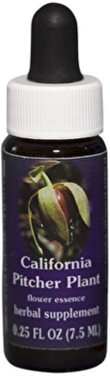 NATUR Srl CALIFORNIA PITCHER 7,5ML CALF