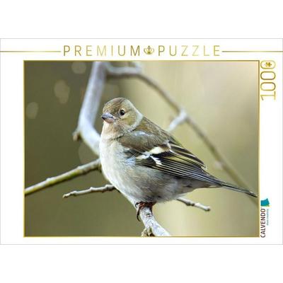 CALVENDO Puzzle Buchfinken-Mädchen | 1000 Teile Lege-Größe 64x48cm Foto-Puzzle für glückliche Stunden