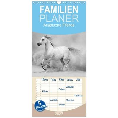 Familienplaner 2027 - Arabische Pferde mit 5 Spalten (Wandkalender, 21 x 45 cm) CALVENDO