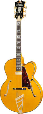 DAngelico Excel EXL1 Amber Ambre