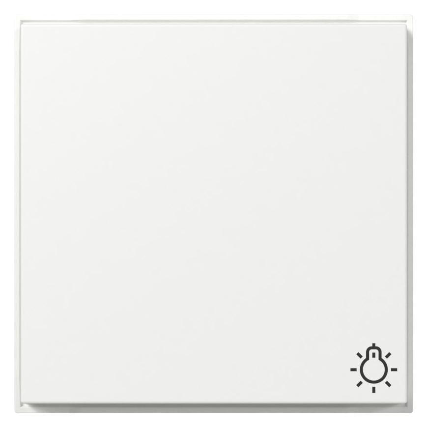 Gira Wippe Symb. Licht (328566)