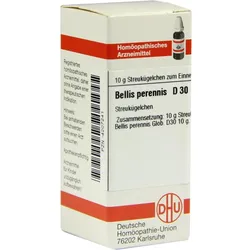 Bellis Perennis D30 10 G