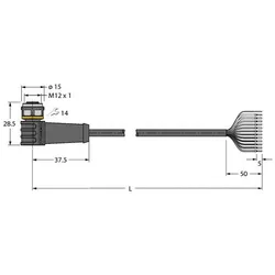 Turck Anschlussleitung WKS12T-2/TEL