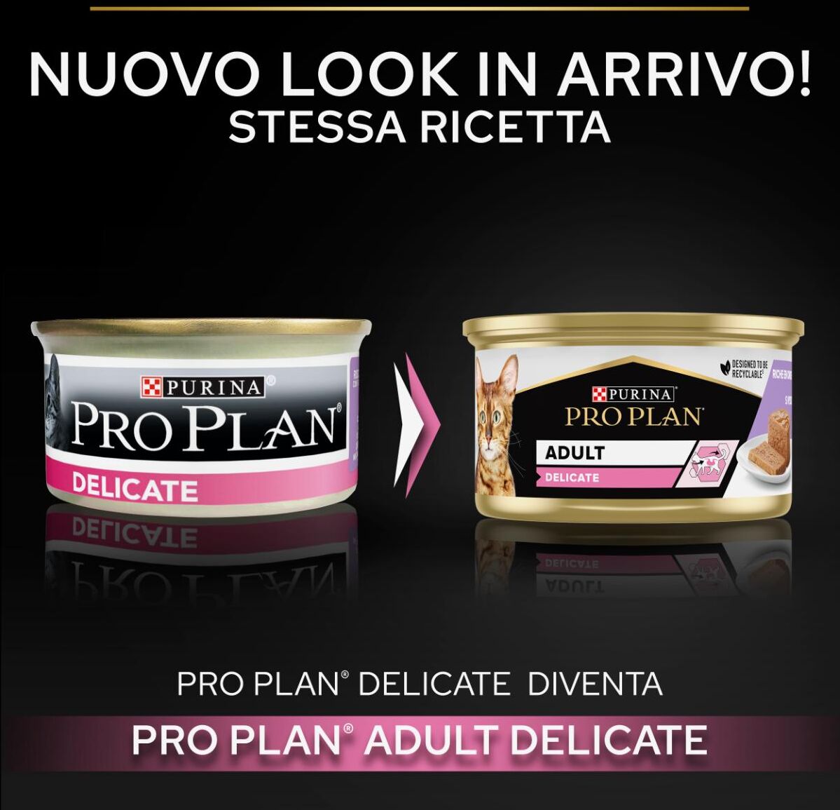 Purina Pro Plan Delicate Cat Lattina Multipack 24x85G TACCHINO