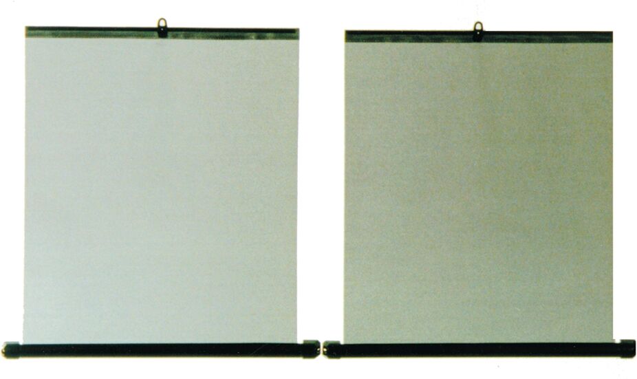 HP Autozubehör Sonnenblende Seiten-Sonnenrollo (2x 45cm) 19447