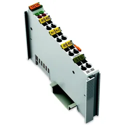 WAGO GmbH &amp; Co. KG 2-Kanal-Analogeingang 750-461/025-000
