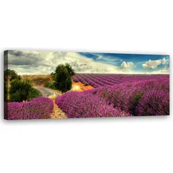 WANDBILD lavendellandschaft