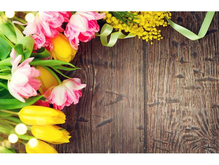 Fototapete PAPERMOON HOLZ-WAND-BLUMEN DEKOR TULPEN MIMOSEN ABSTRAKT FANTASIE , bunt, B:2,5m L:1,86m, Vlies, Tapeten, Fototapete