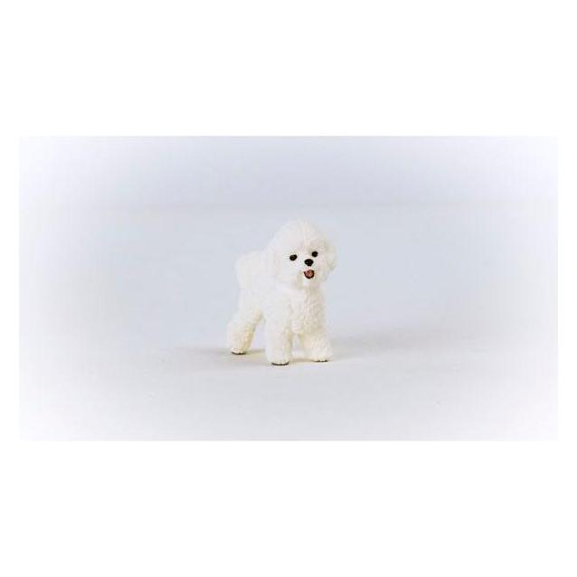 Schleich Bichon Frisé (13963)