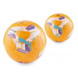 Artyk Puma-Fussball (59427368)