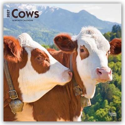 Cows – Kühe 2027 – 16-Monatskalender
