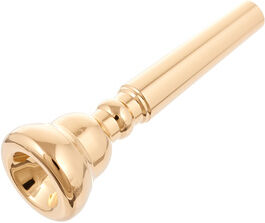 Schilke Trumpet 15B Gold