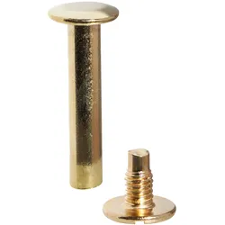 100 Buchschrauben, Messing Hülse glatt, Schraube geschlitzt | 28 mm, Metall, gold