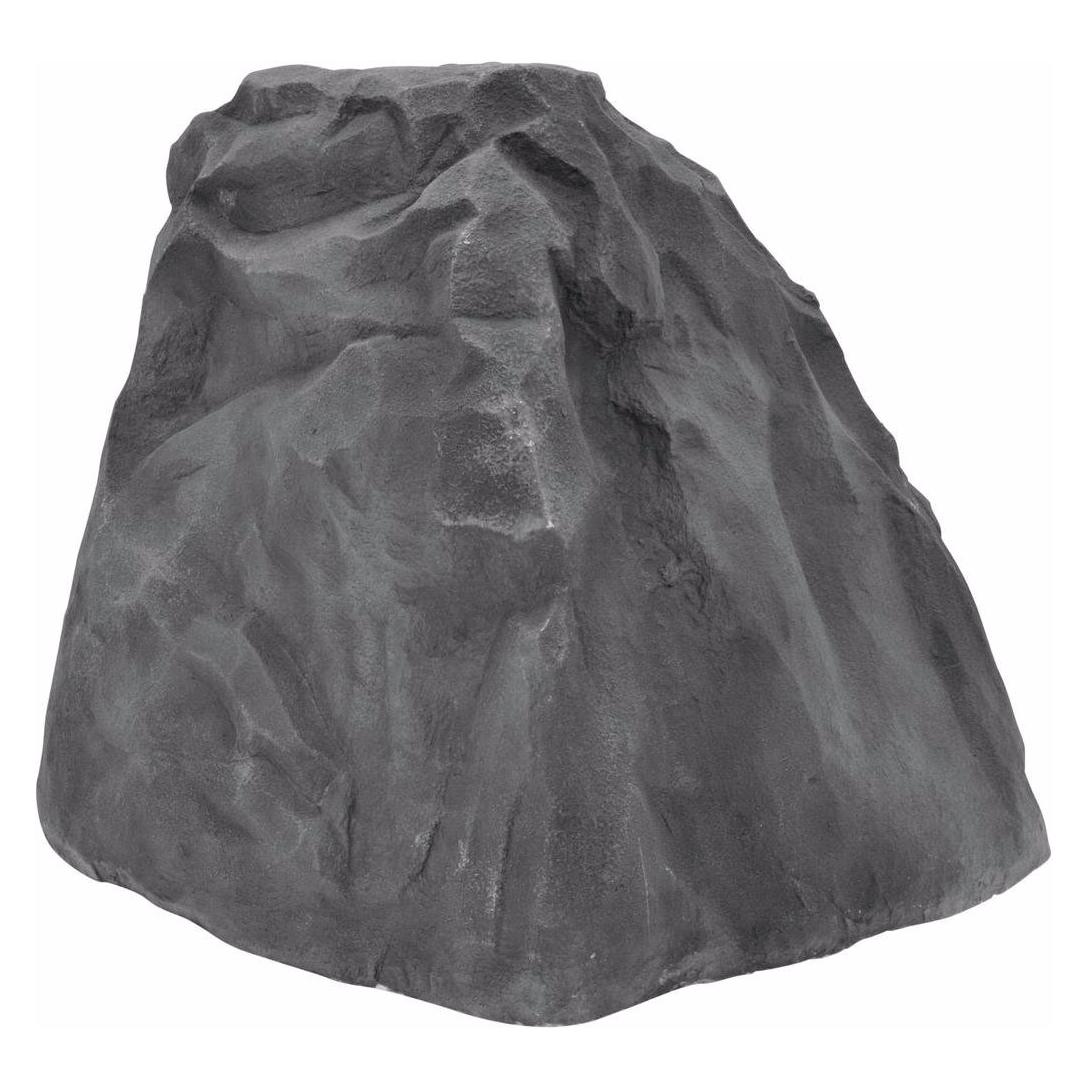 Europalms Celtic (59 cm) (83313230)