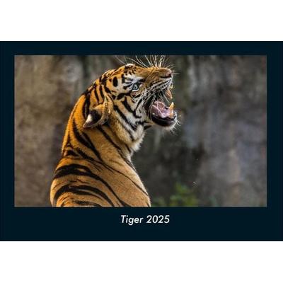 Tiger 2025 Fotokalender DIN A4