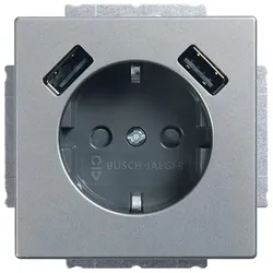 Busch-Jaeger 20EUCB2USB-866 SCHUKO® USB-Steckdosen-Einsatz Safety+ mit USB A/A edelstahl - pur edelstahl 2x USB-Steckdose 2CKA002011A6283