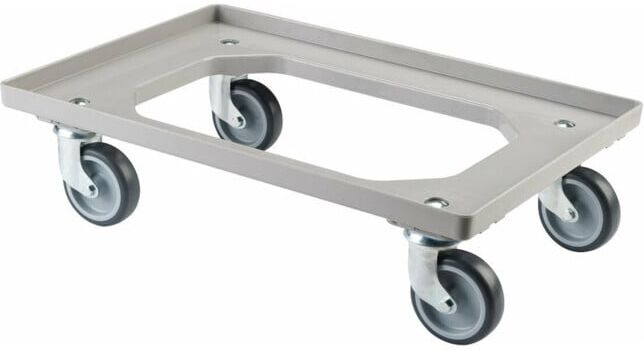 BS Rollen Collecteur à roulettes universel avec plaque TPR, gris, CT 250kg (T.-ROLLER.1G)