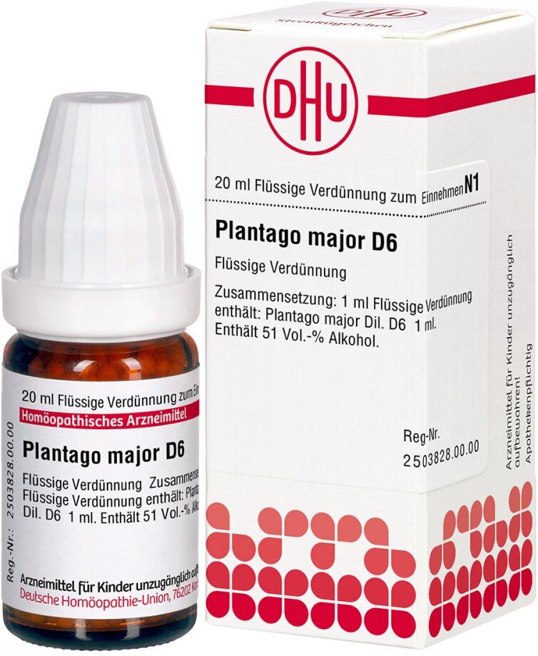 Plantago Major D6 Dilution