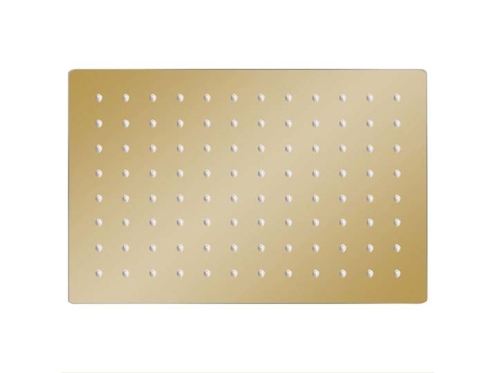 vidaXL Douche de pluie acier inoxydable 30x20 cm Rectangulaire Golden