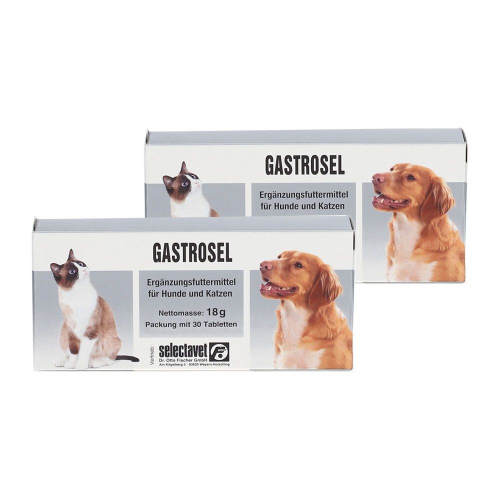 Gastrosel Doppelpack 2x30 St Tabletten