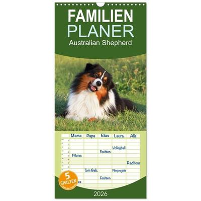 Familienplaner 2026 - Australian Shepherd - Hütehunde mit Familienanschluss mit 5 Spalten (Wandkalender, 21 x 45 cm) CALVENDO