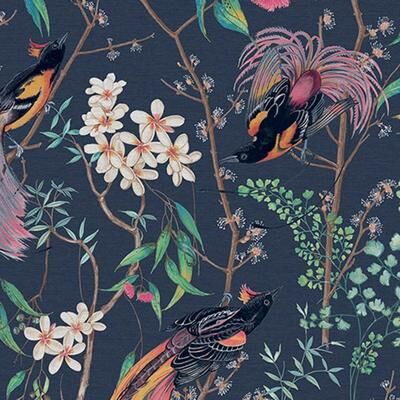 Graham & Brown Clavering Birds Night