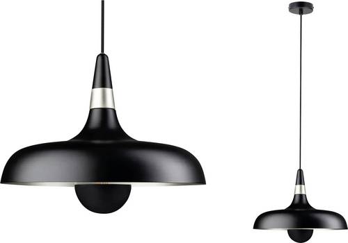 Paulmann 78481 Pendelleuchte E27 Schwarz (matt), Champagner