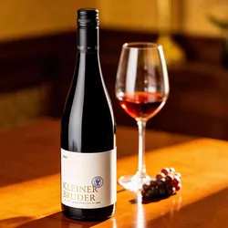 Karl May Kleiner Bruder Rotweincuvée 2021 - Rotwein trocken - Rheinhessen, Deutschland