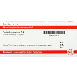Equisetum Arvense D4 Ampullen 8 ML