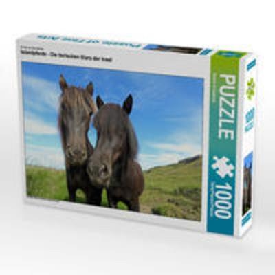 CALVENDO Puzzle Islandpferde - Die tierischen Stars der Insel 1000 Teile Lege-Größe 64 x 48 cm Foto-Puzzle Bild von Rainer Grosskopf