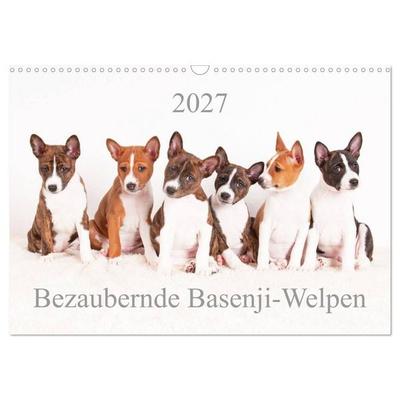 Bezaubernde Basenji-Welpen (Wandkalender 2027 DIN A3 quer), CALVENDO Monatskalender