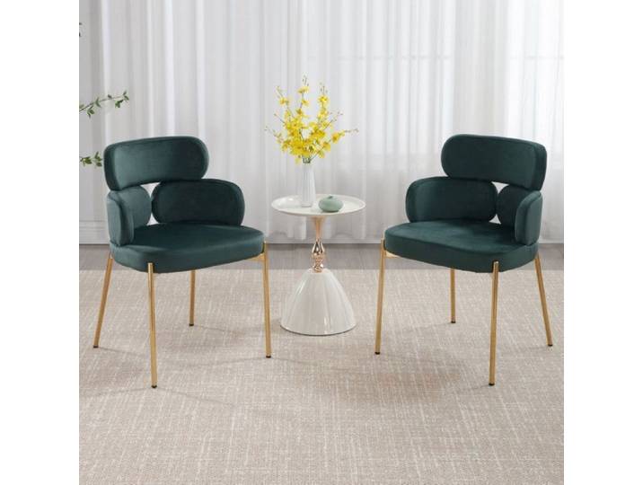 Wahson Chaises de Salle à Manger Lot de 2 Chaise Salle à Manger Chaise de Salon Moderne pour Cuisine et Maison Velours Vert