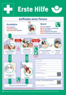 moedel Sicherheits-Aushang „Erste Hilfe“, gemäß DGUV 204-001, L 590 x B 410 mm, PVC, mehrfarbig
