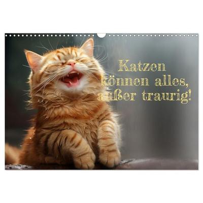 Katzen können alles, außer traurig. (Wandkalender 2027 DIN A3 quer), CALVENDO Monatskalender