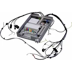 Wolf Steuereinheit 274590099 für MGK-2-1000