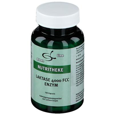 Laktase 4.000 FCC Enzym Kapseln 100 St