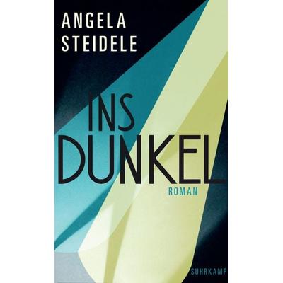 Ins Dunkel, Gebundene Ausgabe von Angela Steidele, Suhrkamp