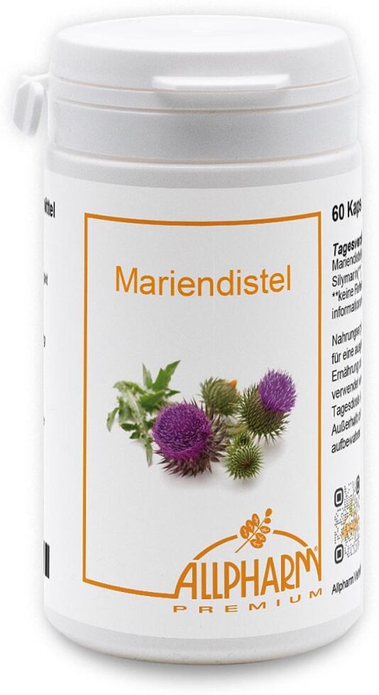 Mariendistel Leberschutz