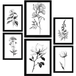 POSTER Set Mit 6 Üppige Blumen Natur Und Botanikdrucke Mit Blumenmotiven In Klassischem Schwarz Und Weiß Innenarchitektur A3 & A4 Schwarzer Rahmen