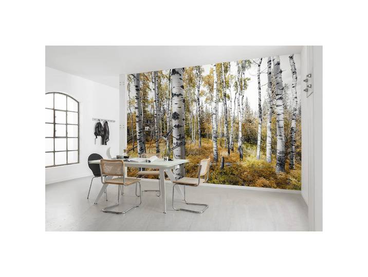 Papier peint intissé Colorful Aspenwoods 450 x 280cm