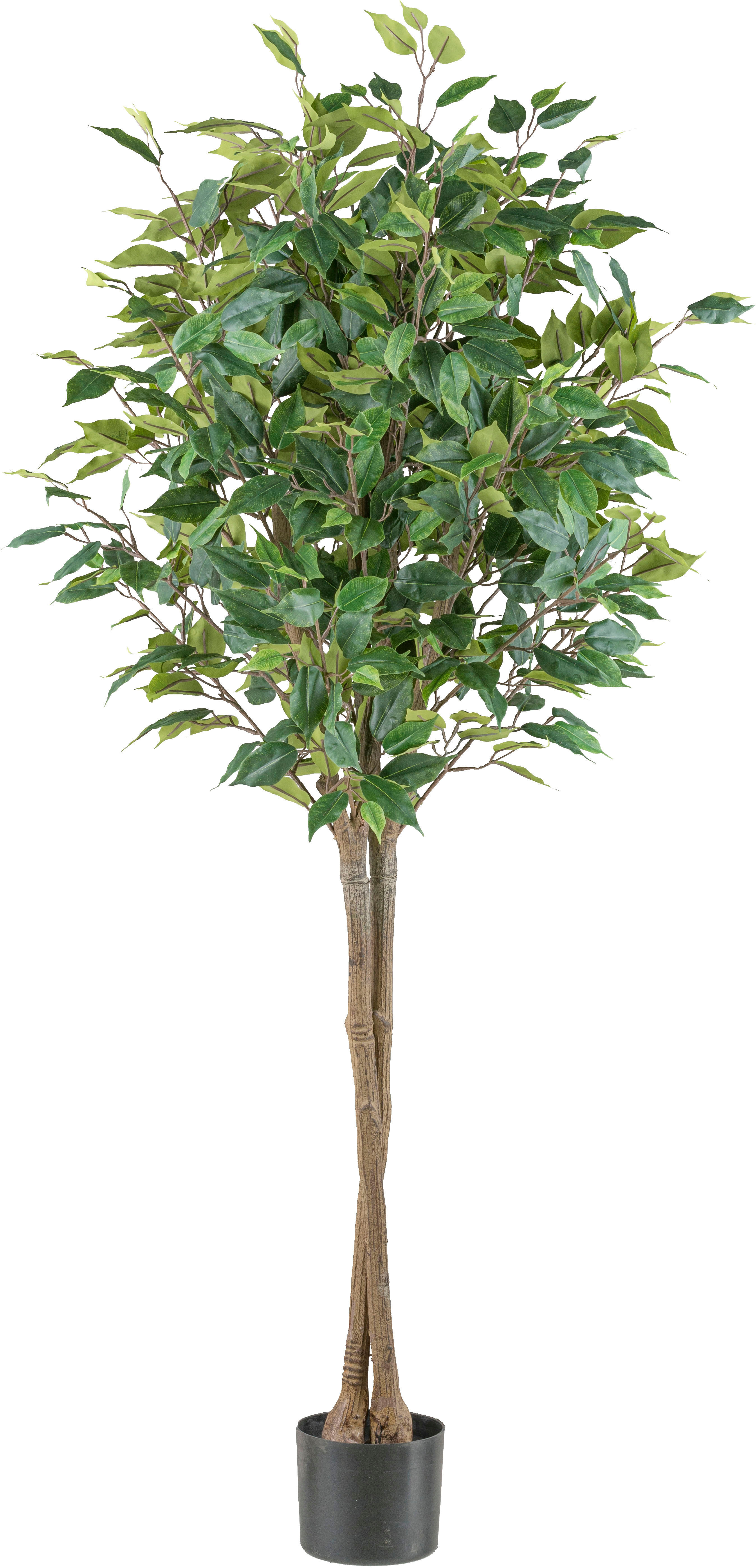 Kunstpflanze CREATIV GREEN "Ficus benjamina", grün, H:125cm, Kunststoff, Kunstpflanzen, Kunstpflanze, in Hochstamm-Form