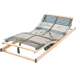 Frankenstolz »Punktoflex Premium« Lattenrost Motor 80x200 cm