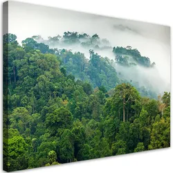 BILD Wald im Nebel Landschaft 120x80cm